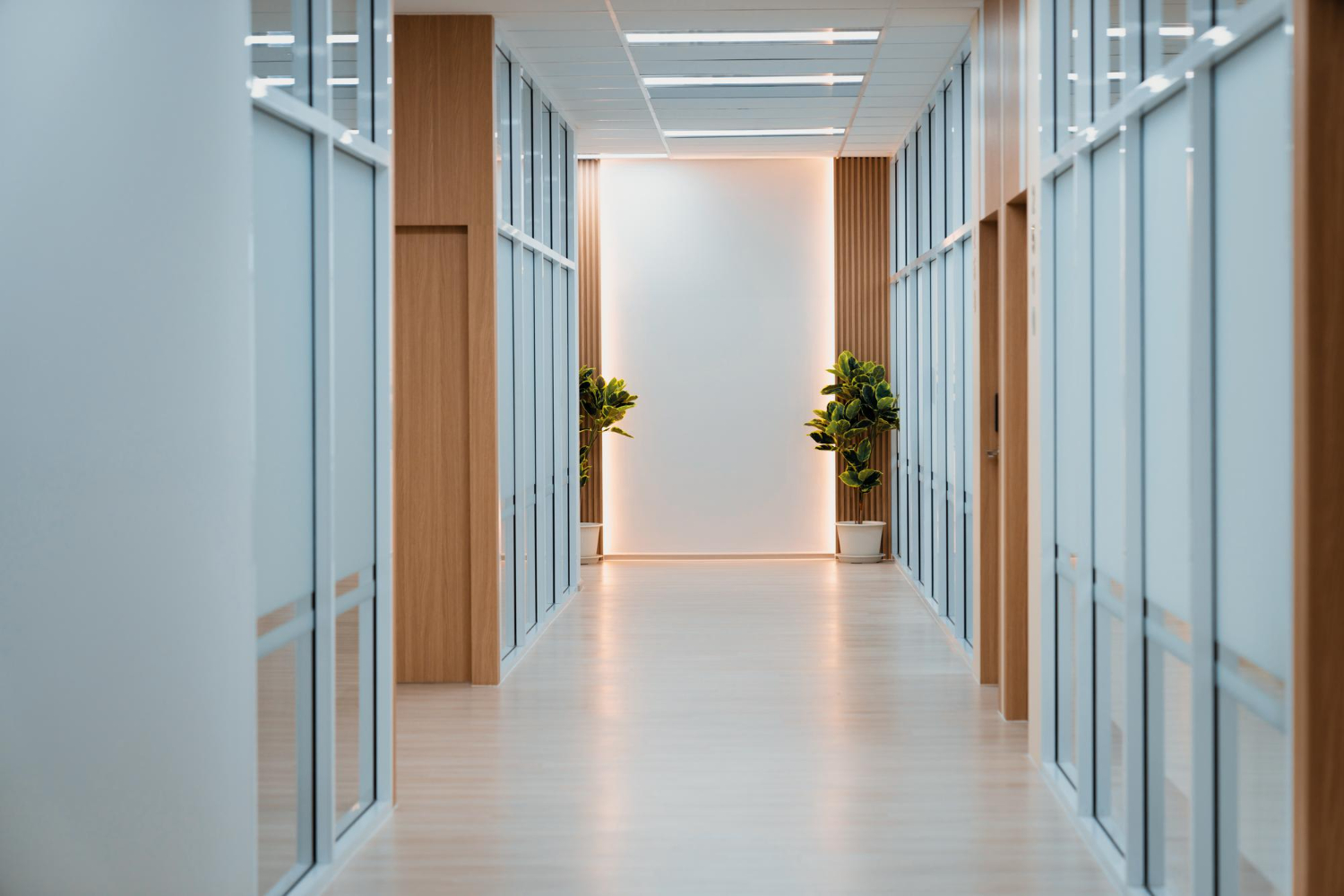 puste-nowoczesne-biuro-jasny-korytarz-ze-szklana-sciana-ozdobny-korytarz automatyka budynkowa dla firm